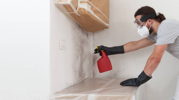 Professional Crawl Space Mold Remediation technician working in Purcellville, VA